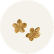 brincos e argolas