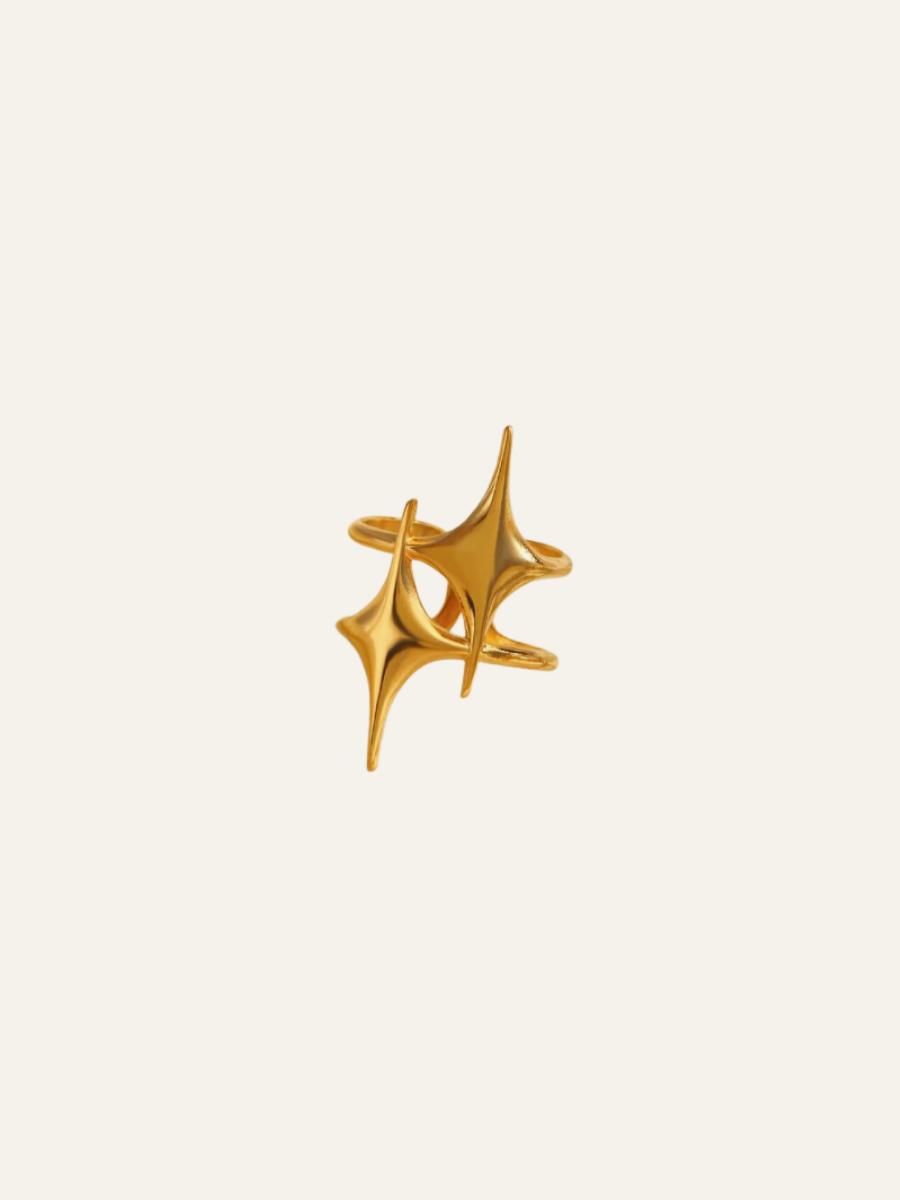 Anel Shine